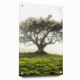 Acrylic glass landscape artwork depicting serene countryside scenery, showcasing vibrant colors and intricate details, mounted with pins for display.