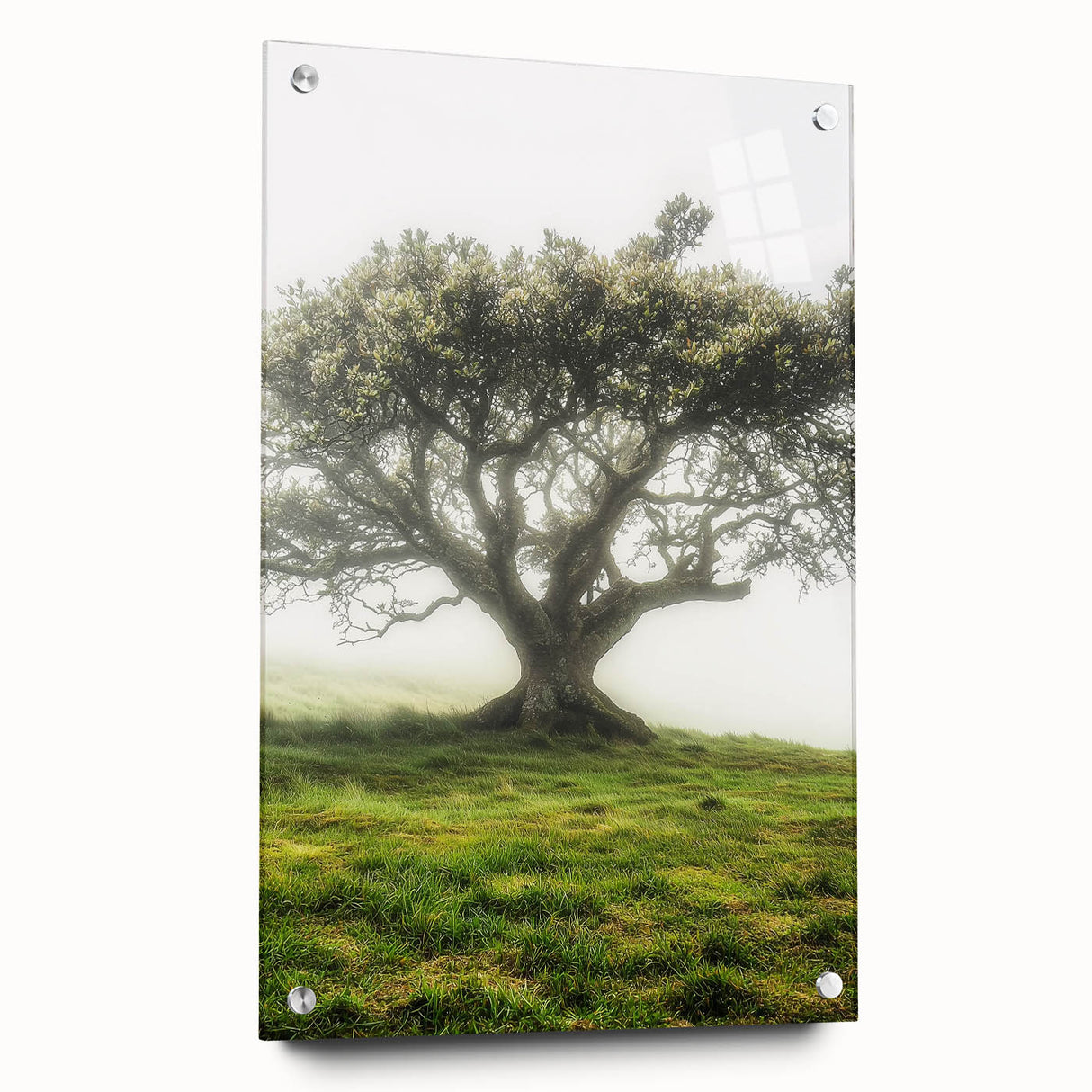 Acrylic glass landscape artwork depicting serene countryside scenery, showcasing vibrant colors and intricate details, mounted with pins for display.