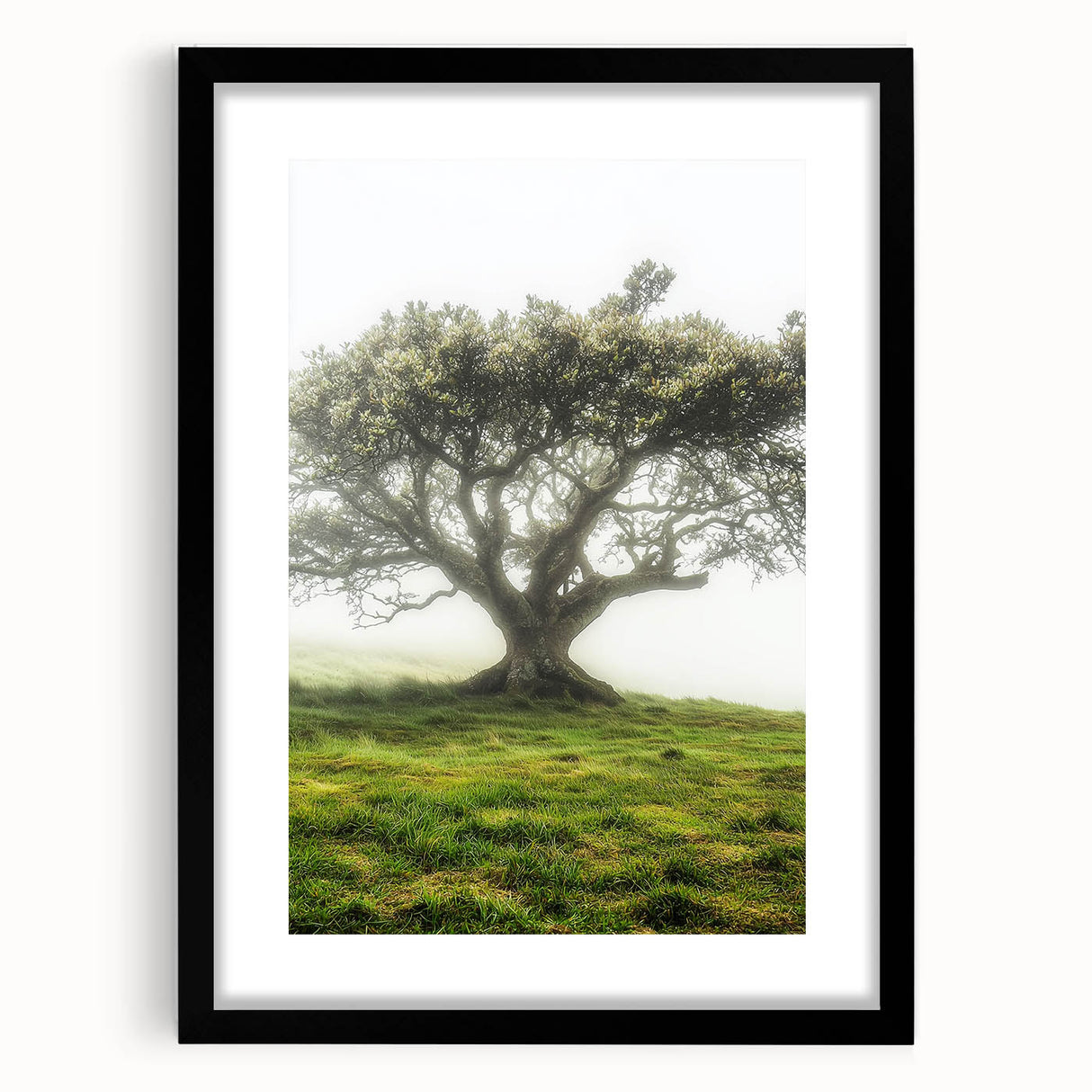 Black-framed landscape artwork showcasing a serene countryside scene, elegantly matted for a polished look, ideal for home decor or office enhancement.