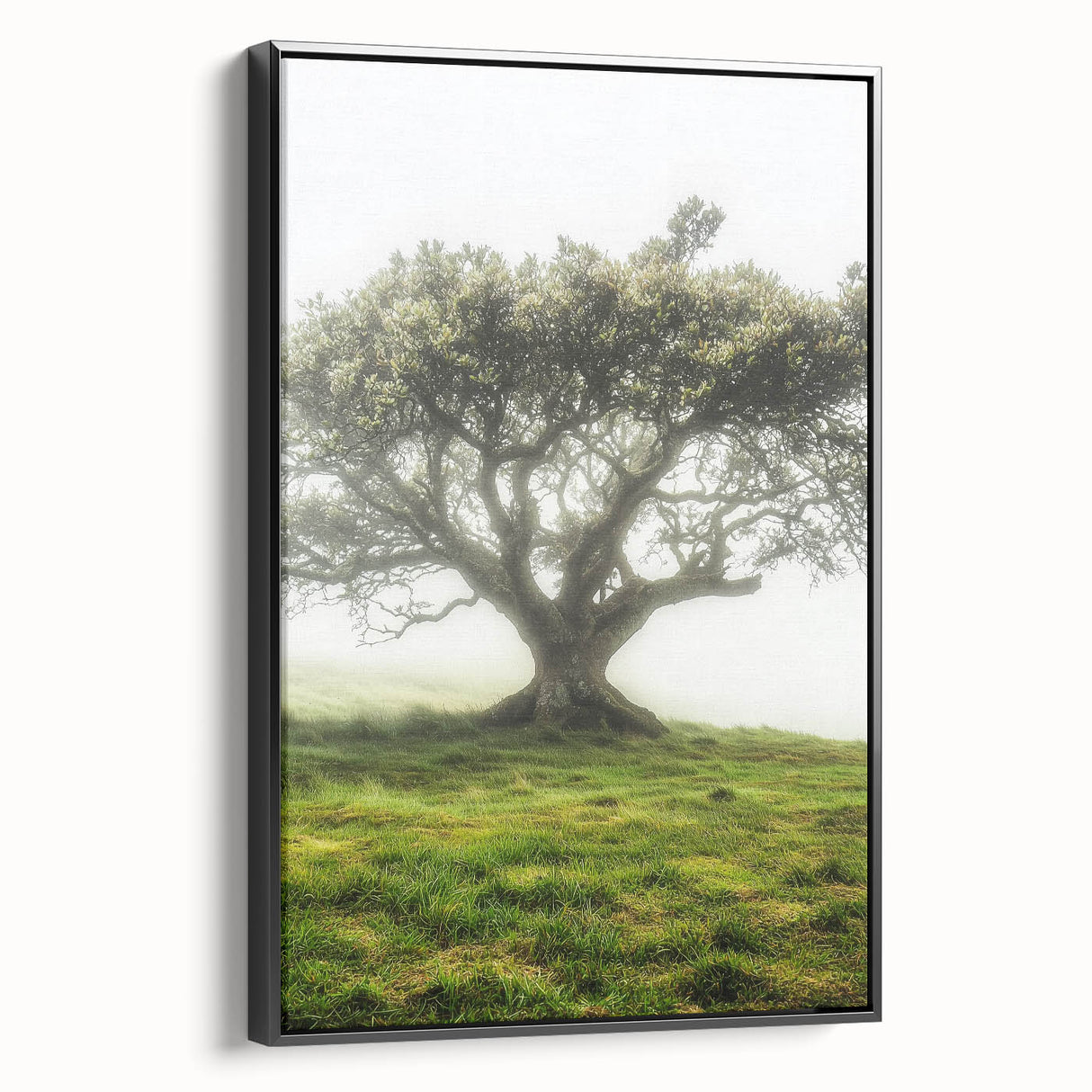 Framed canvas artwork depicting a serene countryside landscape, featuring lush green fields and a vibrant blue sky, with a sleek black frame enhancing its aesthetic appeal. Ideal for home decor enthusiasts seeking nature-inspired art pieces.
