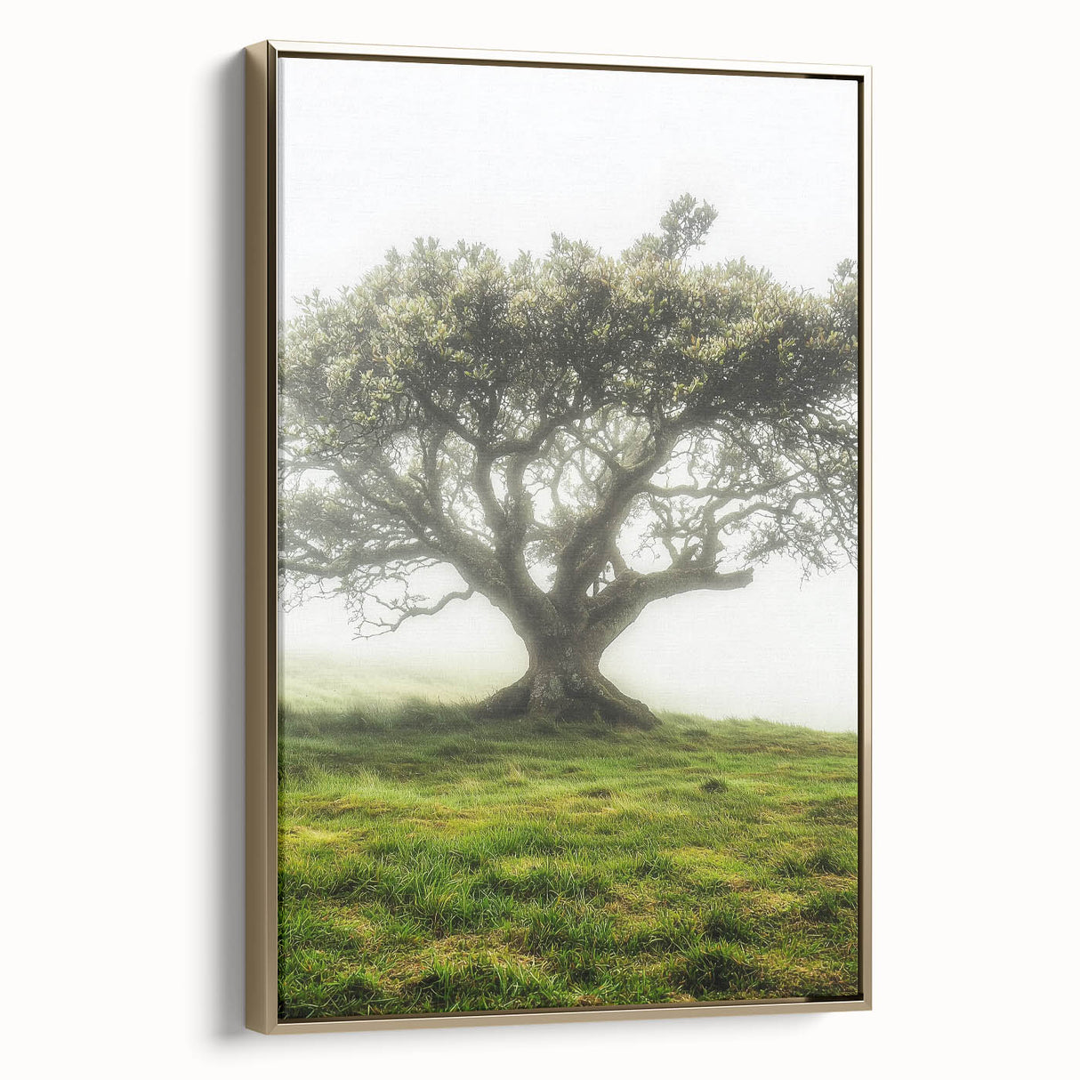 Framed canvas artwork depicting a serene countryside landscape with lush greenery and a golden frame. Ideal for enhancing home decor with nature-inspired aesthetics.