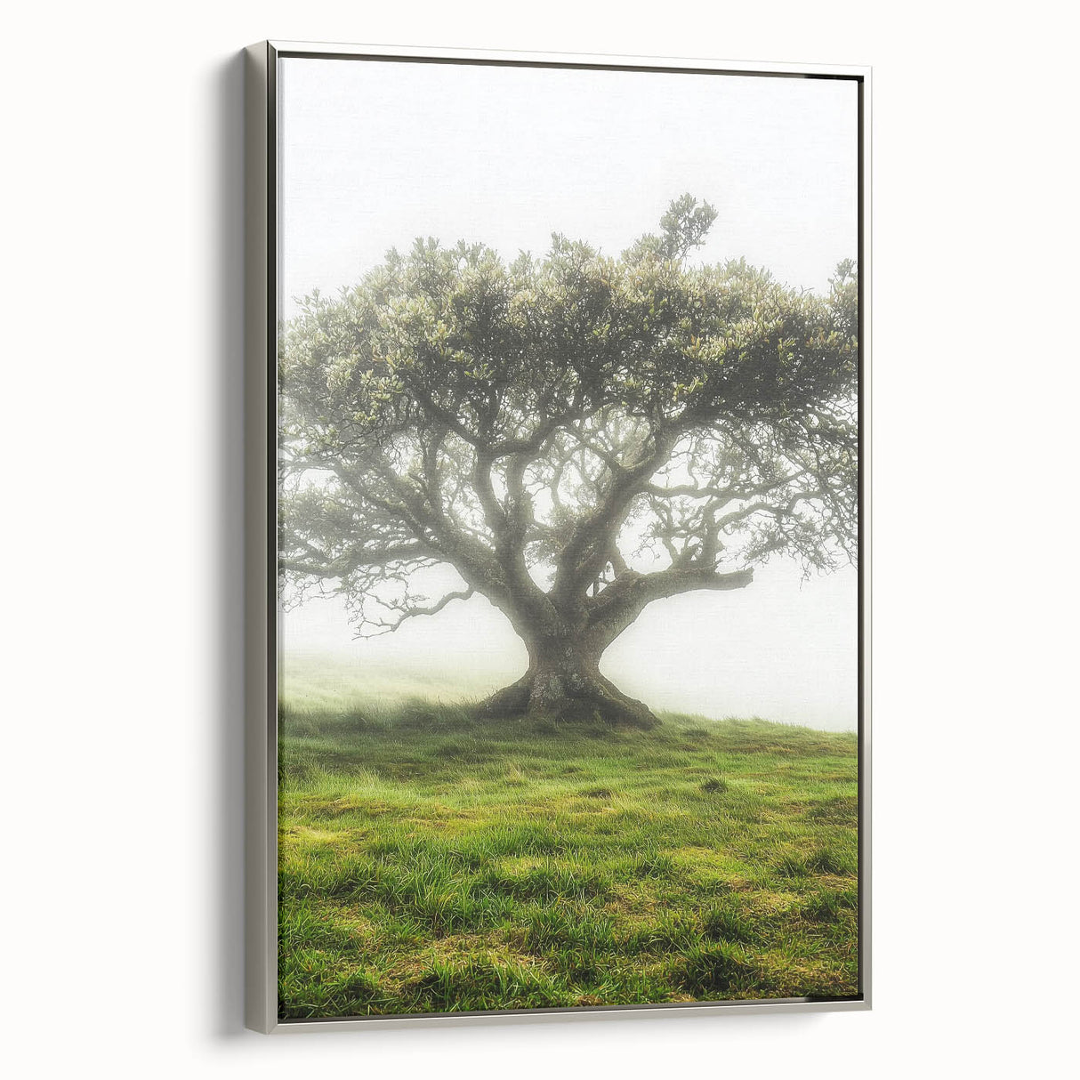 Framed canvas art showcasing a serene countryside landscape with lush greenery and rolling hills, accented by a sleek silver frame, ideal for home decor.
