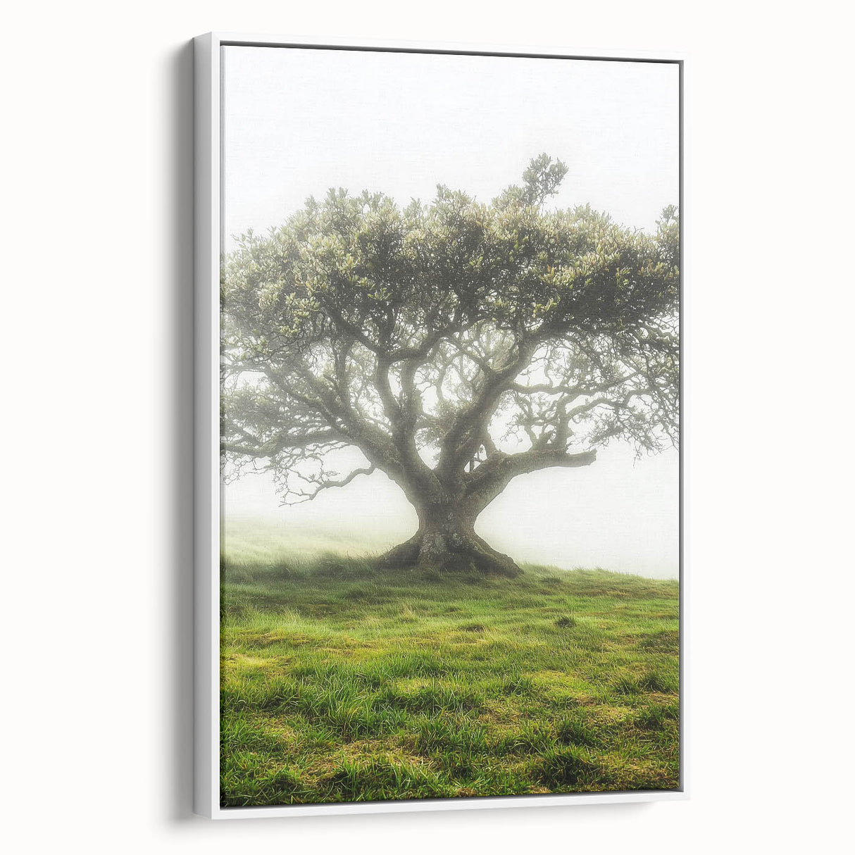Framed canvas art depicting a serene countryside landscape with rolling hills and a blue sky, showcasing a white frame and side view for elegant home decor.