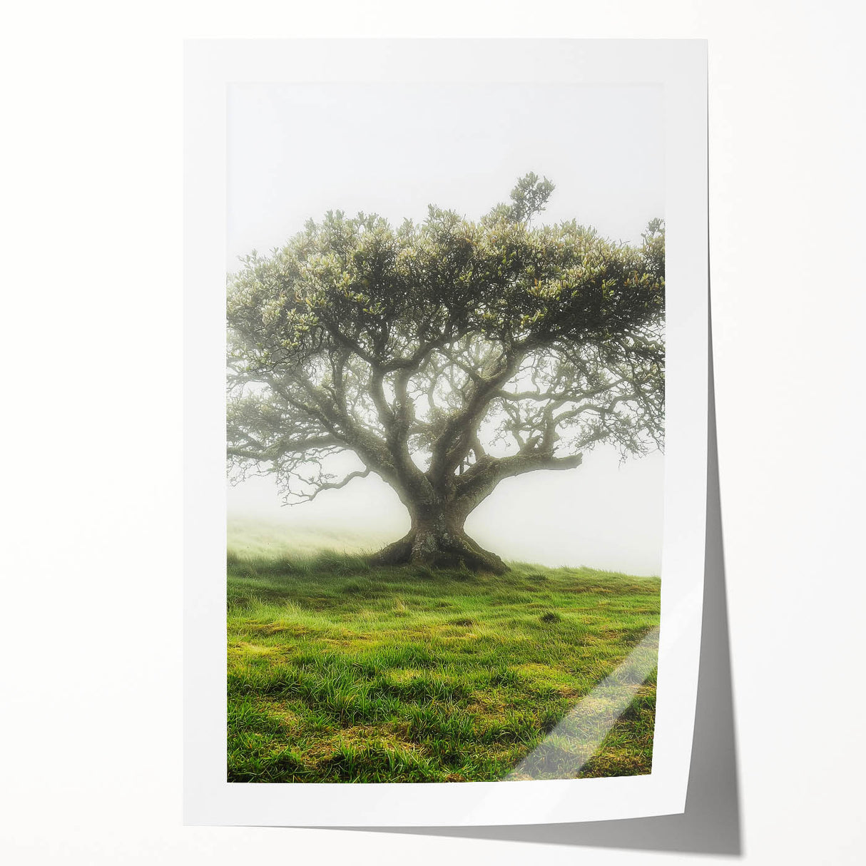 Rolled print showcasing a vibrant countryside landscape with rolling hills, lush greenery, and a serene sky, elegantly packaged in a protective cardboard tube.