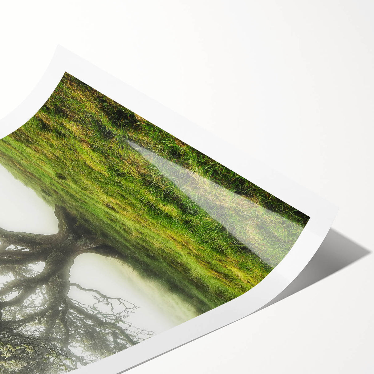 Rolled print showcasing a serene countryside landscape with vibrant green fields and a clear blue sky, elegantly packaged in a protective cardboard tube for safe transport.