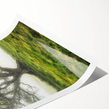 Rolled print showcasing a serene countryside landscape with vibrant green fields and a clear blue sky, elegantly packaged in a protective cardboard tube for safe transport.