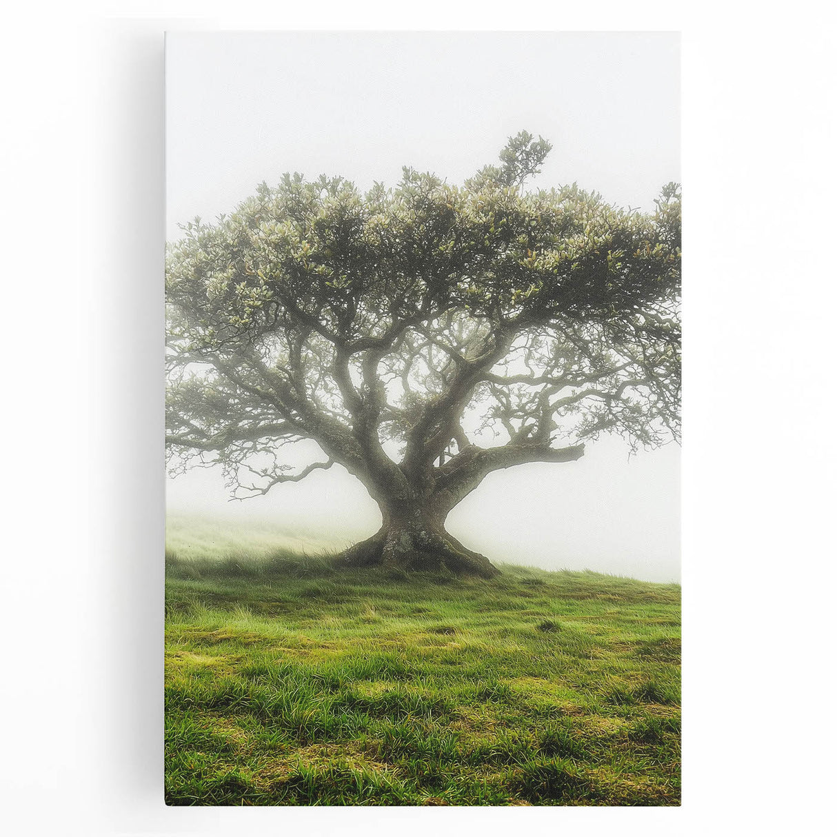 Serene countryside landscape stretched canvas artwork showcasing rolling hills, vibrant greenery, and a clear blue sky, ideal for enhancing home decor ambiance.