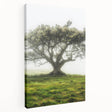 Stretched canvas artwork depicting serene countryside landscapes, showcasing lush green fields and rolling hills with vibrant colors, ideal for home decor.