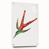 Modern Wall Art - Colorful Hummingbird | Contemporary Nature Print