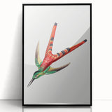 Modern Wall Art - Colorful Hummingbird | Contemporary Nature Print