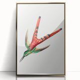 Modern Wall Art - Colorful Hummingbird | Contemporary Nature Print