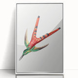 Modern Wall Art - Colorful Hummingbird | Contemporary Nature Print