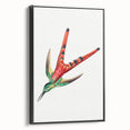 Modern Wall Art - Colorful Hummingbird | Contemporary Nature Print