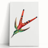 Modern Wall Art - Colorful Hummingbird | Contemporary Nature Print