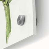 Classic Romantic Artichoke Print - Famous Romantic Era Wall Art