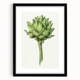 Classic Romantic Artichoke Print - Famous Romantic Era Wall Art