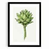 Classic Romantic Artichoke Print - Famous Romantic Era Wall Art