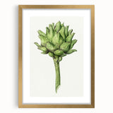 Classic Romantic Artichoke Print - Famous Romantic Era Wall Art