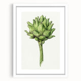 Classic Romantic Artichoke Print - Famous Romantic Era Wall Art
