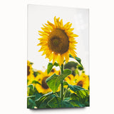 Large abstract wall art on acrylic glass depicting spring season in pastel shades, ideal for bedroom or dining room decor.