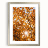 Textured abstract art print depicting autumn colors in muted orange and brown, framed in silver, suitable for bedroom decor.