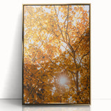 Large art print of a mid-century modernist autumn landscape in gold and orange tones, framed acrylic.