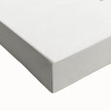 Romantic Calathea Zebrina Leaf - Historical Romanticism Canvas