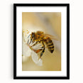 Spring-themed abstract art print in vibrant colors on textured canvas, framed in black, ideal for living room decor.