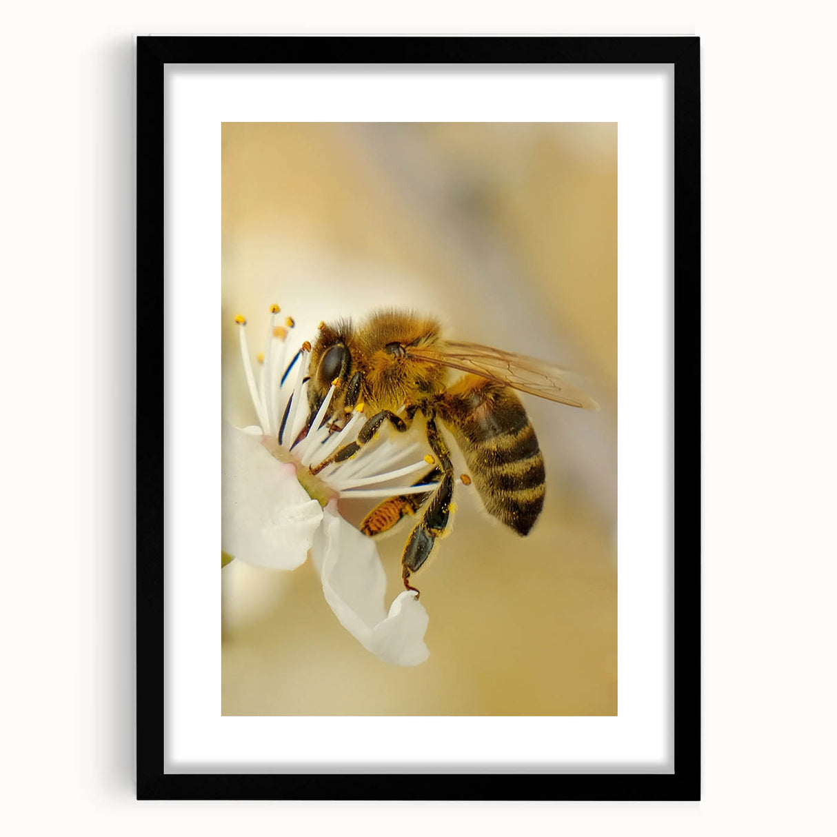 Spring-themed abstract art print in vibrant colors on textured canvas, framed in black, ideal for living room decor.