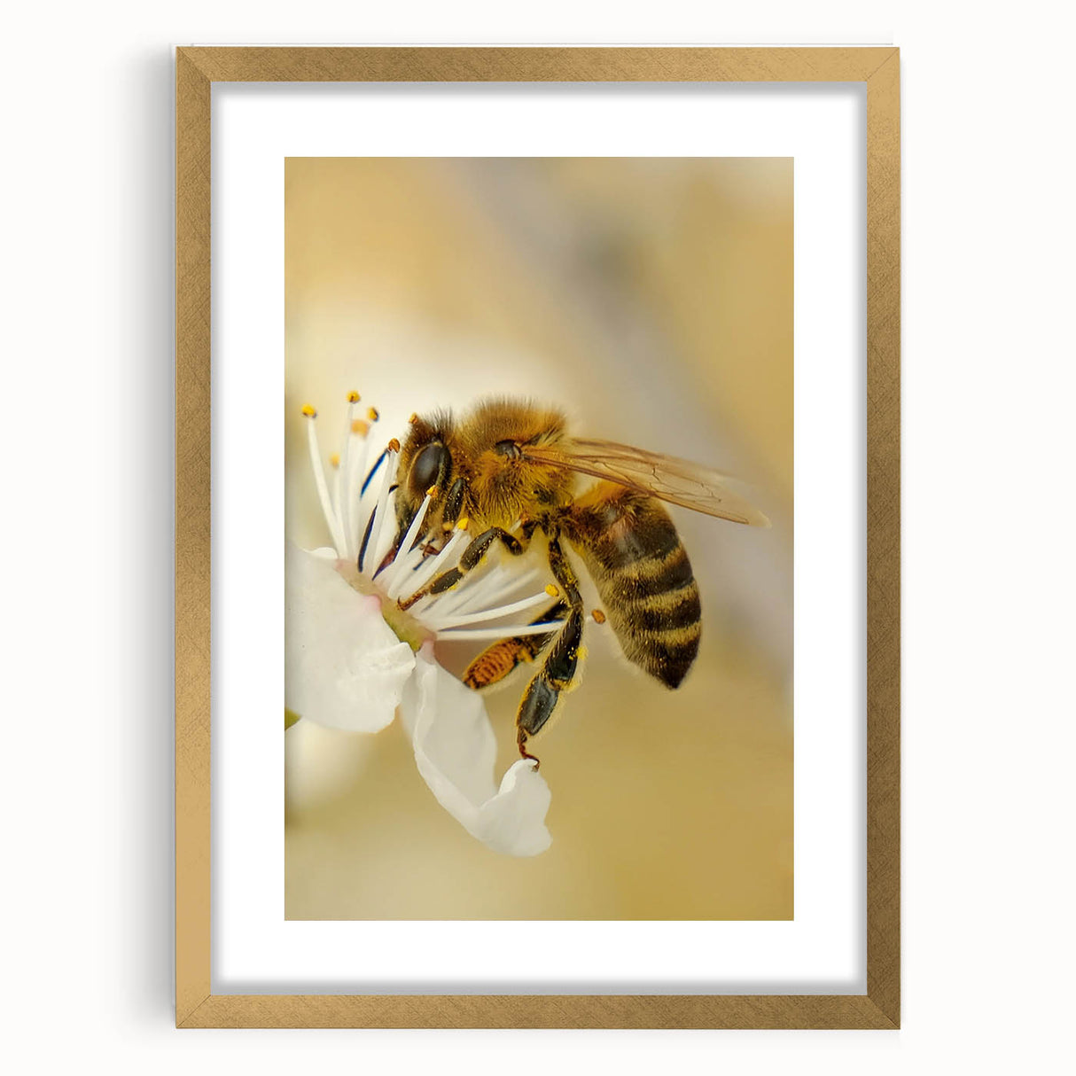 Extra large abstract art print with textured spring design in vibrant greens and yellows, framed in gold.