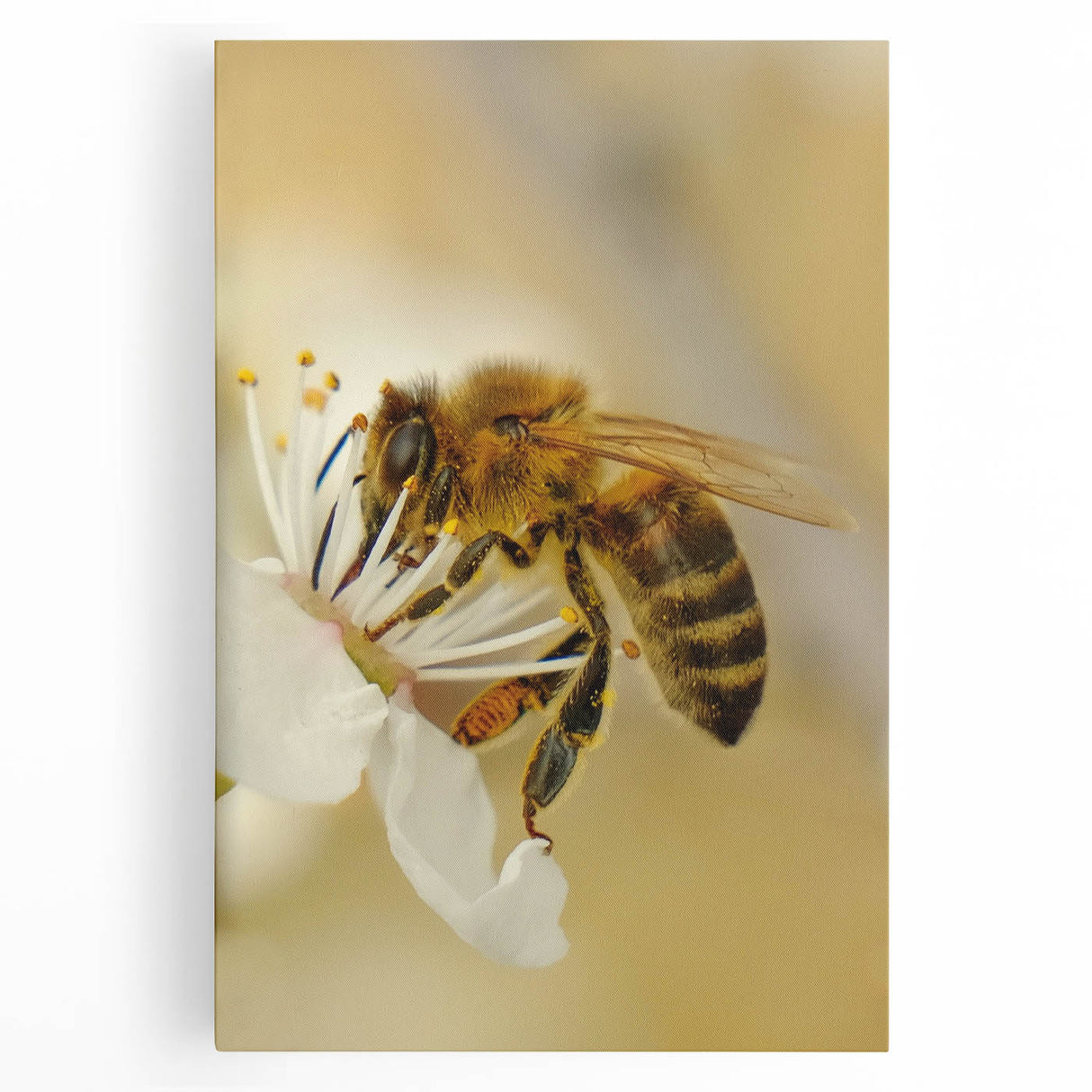 Black and white abstract depiction of spring on large stretched canvas, ideal for kitchen wall art.