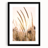 Extra large abstract art print featuring vibrant, colorful textures on a black framed canvas, ideal for living room decor.