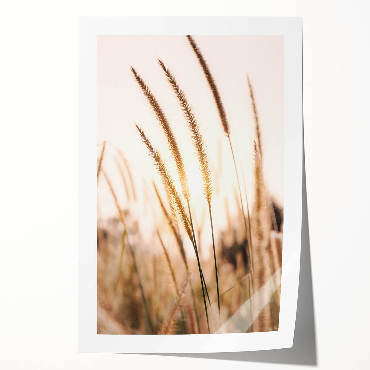 Extra large rolled canvas print featuring a vibrant summer floral design, ideal for art wall dining room.