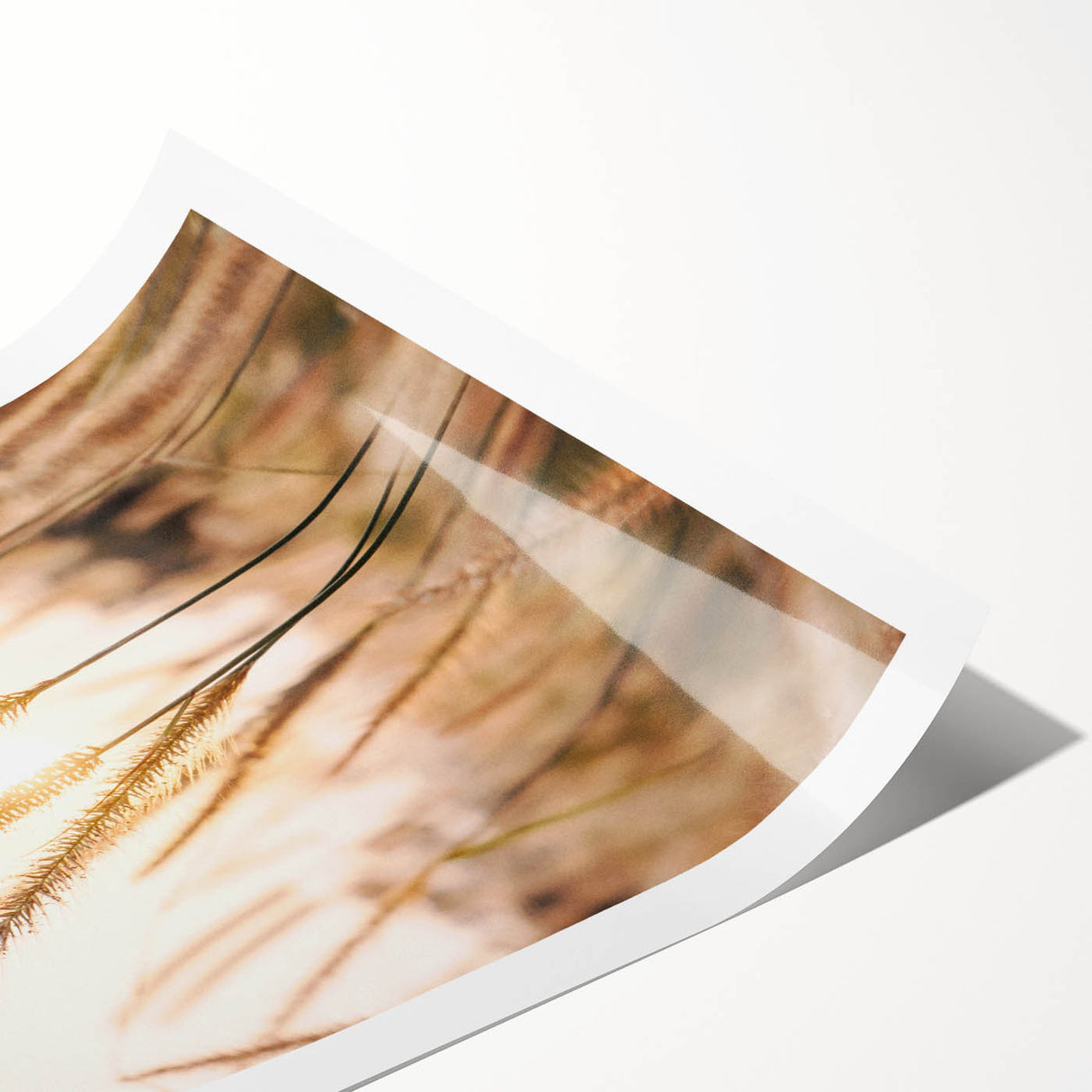Extra large wall art featuring line art flowers in muted green and beige tones on a rolled canvas.