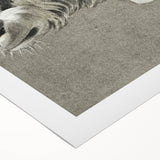 Romantic Goat Portrait by Jean-Bernard - Historical Romantic Canvas