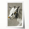 Romantic Goat Portrait by Jean-Bernard - Historical Romantic Canvas