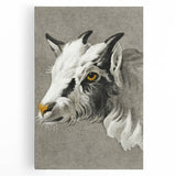 Romantic Goat Portrait by Jean-Bernard - Historical Romantic Canvas