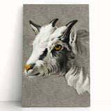 Romantic Goat Portrait by Jean-Bernard - Historical Romantic Canvas