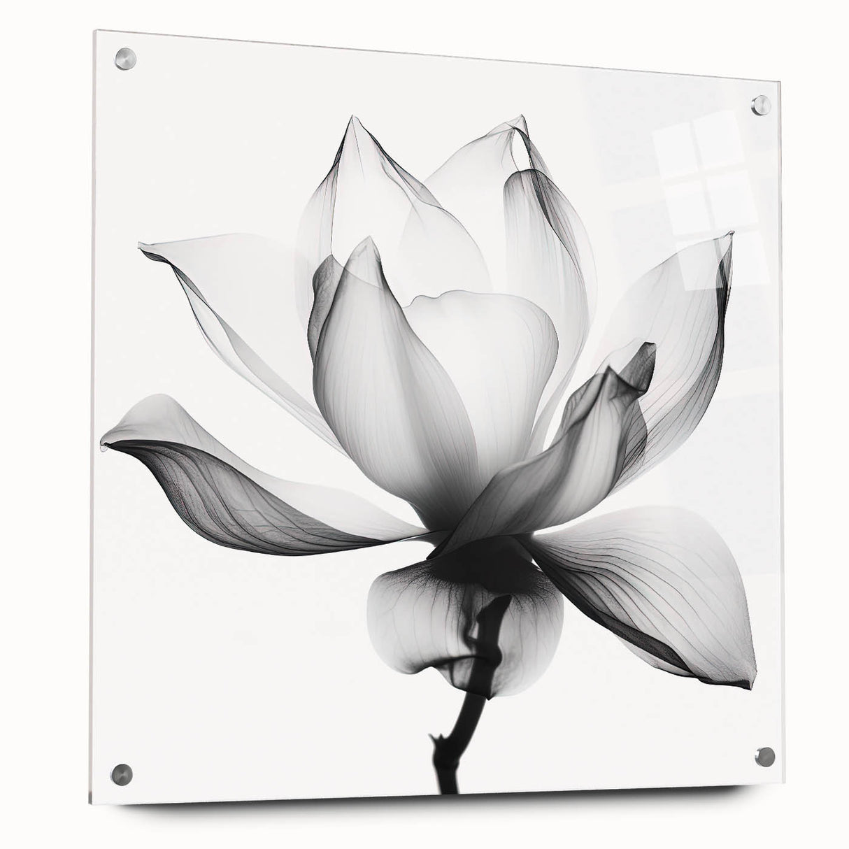 Canvas Art for Dining Area - Black & White Lotus Flower Print