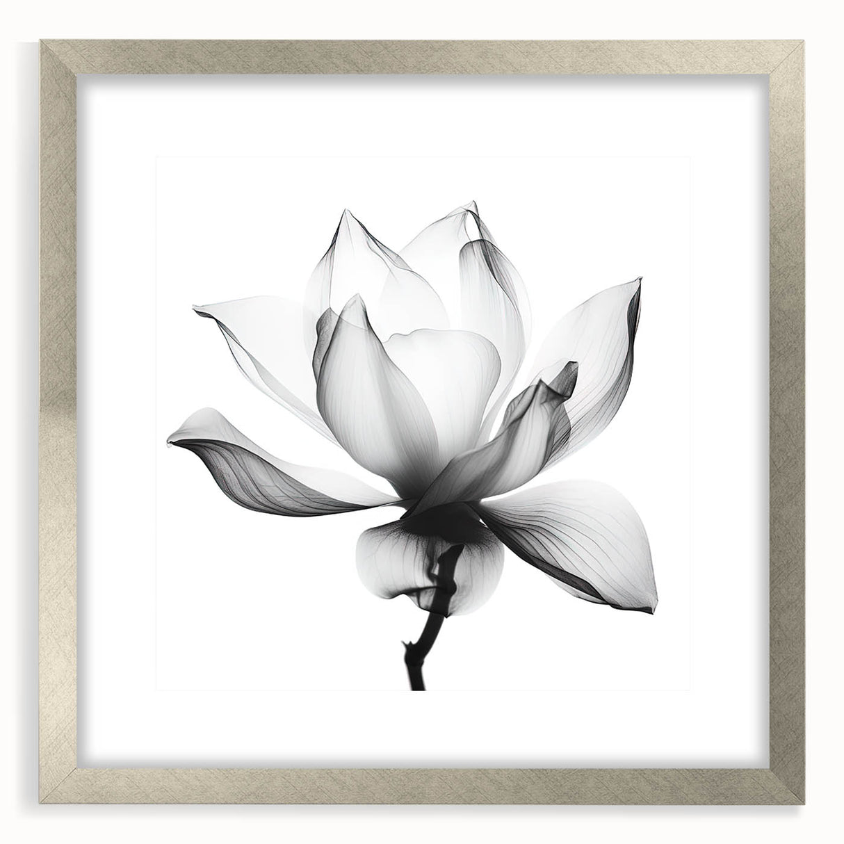 Canvas Art for Dining Area - Black & White Lotus Flower Print