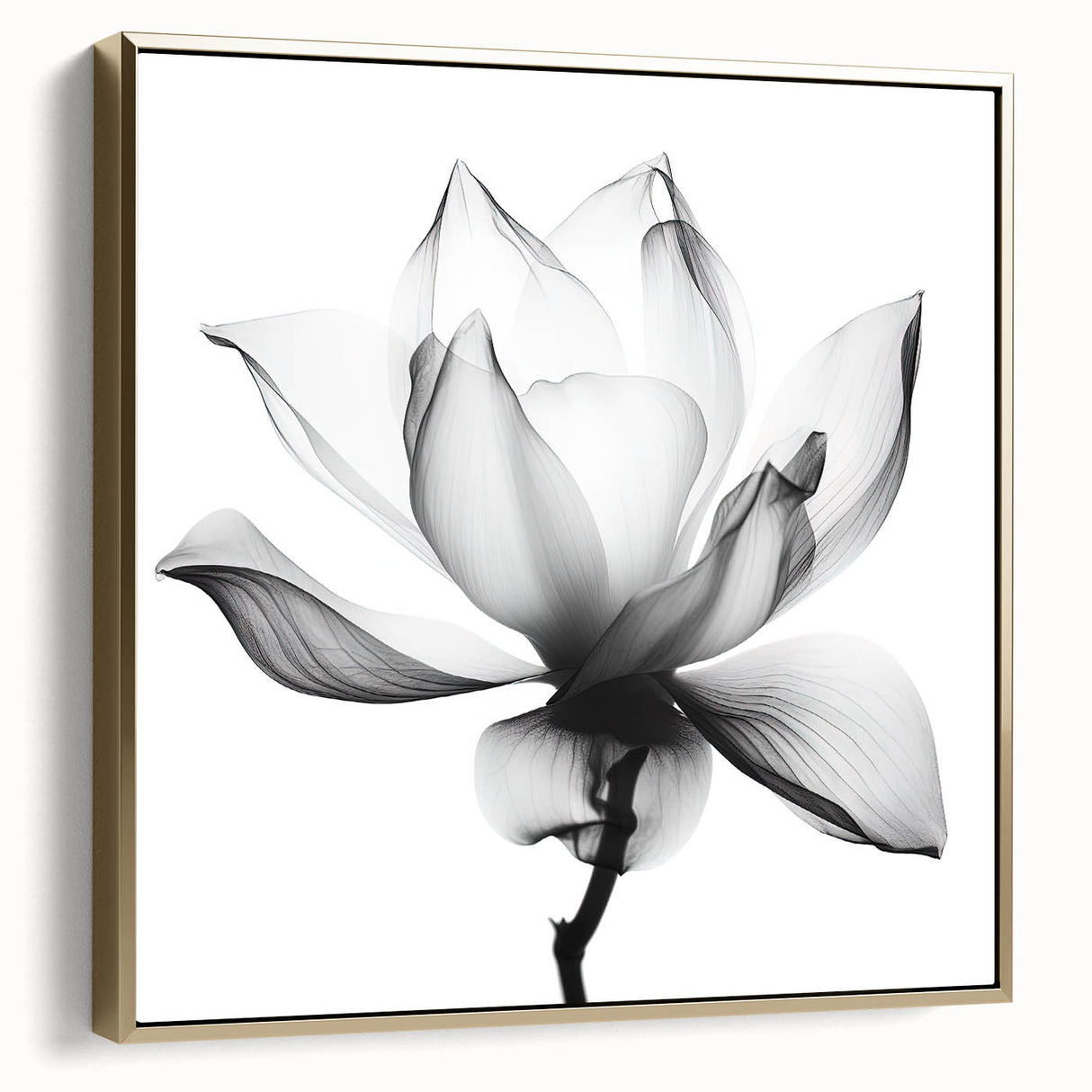 Canvas Art for Dining Area - Black & White Lotus Flower Print