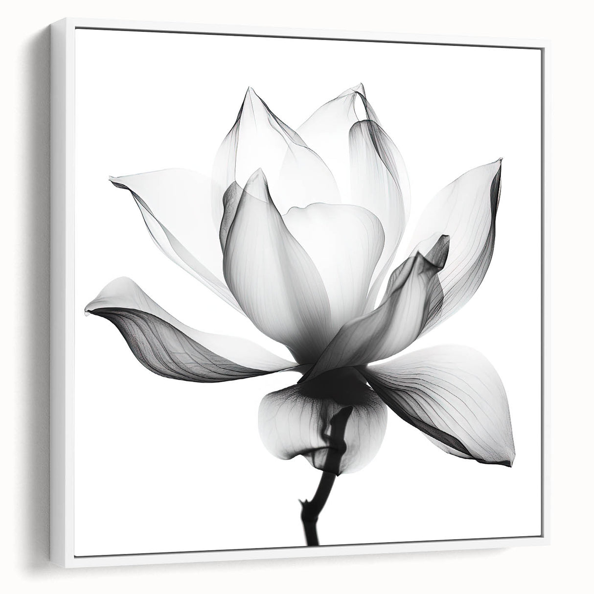Canvas Art for Dining Area - Black & White Lotus Flower Print