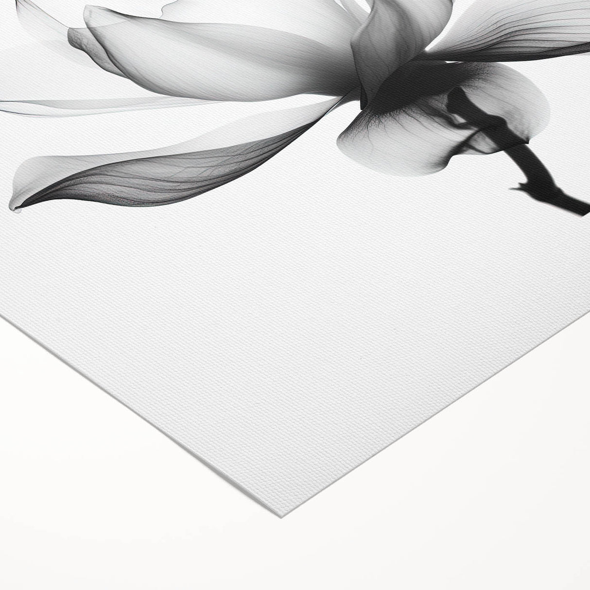 Canvas Art for Dining Area - Black & White Lotus Flower Print
