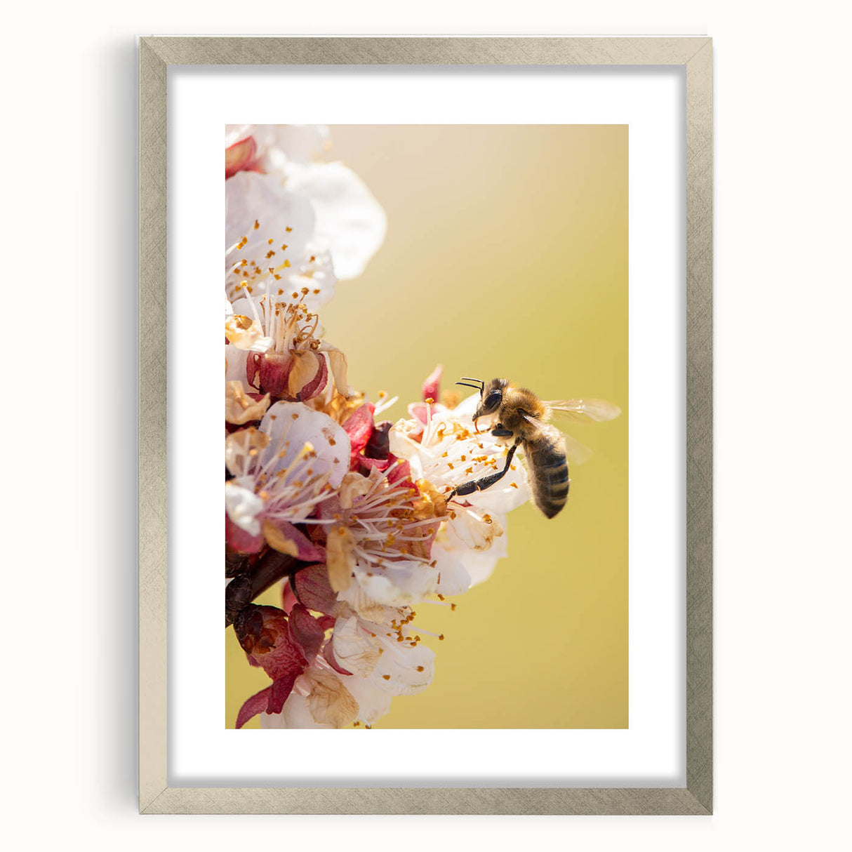 Textured art print of abstract spring-themed imagery in soft green and yellow tones, framed in silver.
