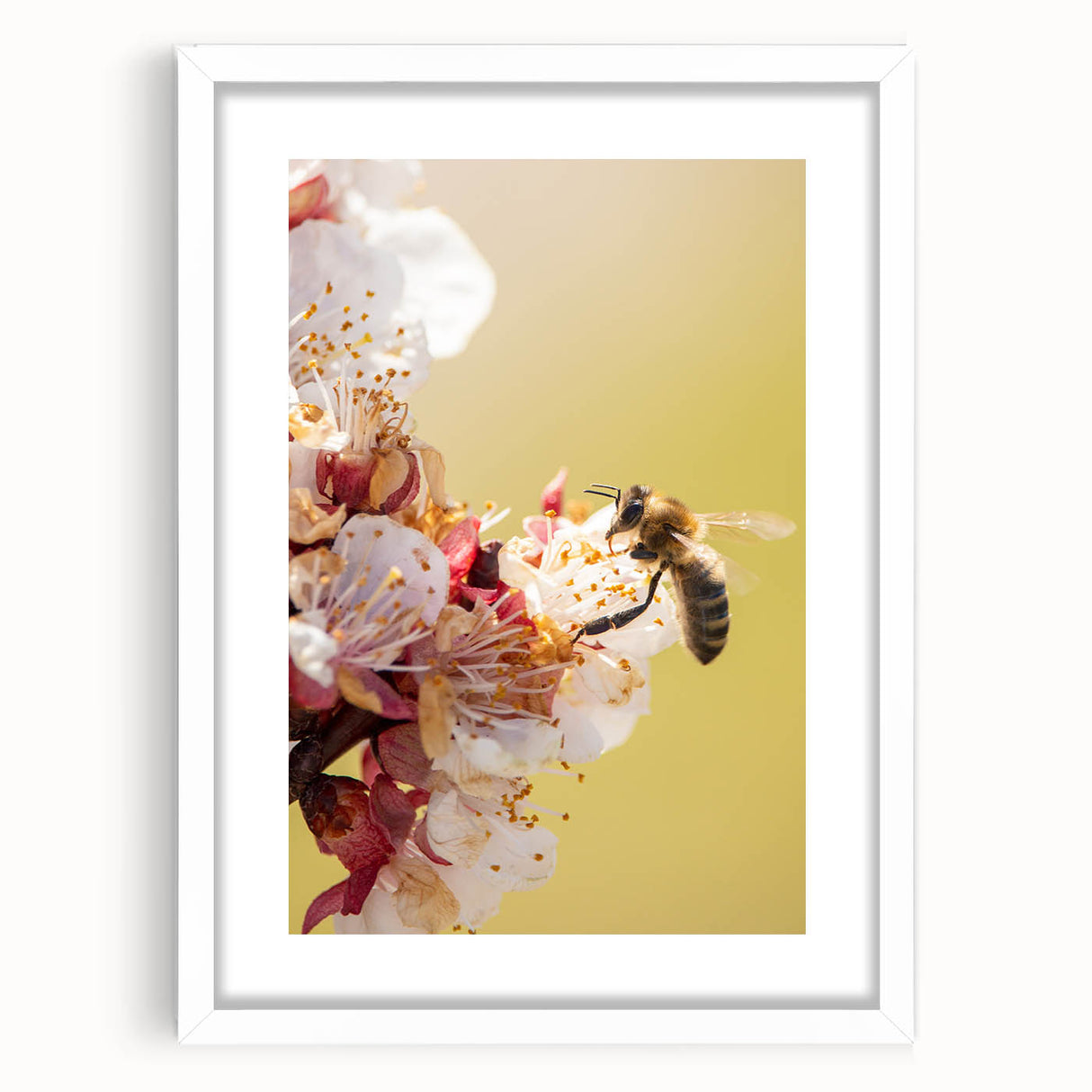 Abstract art print depicting spring themes in soft green and pink, framed in white, ideal for bedroom or dining room decor.