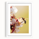 Abstract art print depicting spring themes in soft green and pink, framed in white, ideal for bedroom or dining room decor.