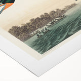 Romantic Art Prints: Florida Cormorant by John James Audubon