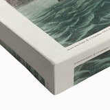 Romantic Art Prints: Florida Cormorant by John James Audubon