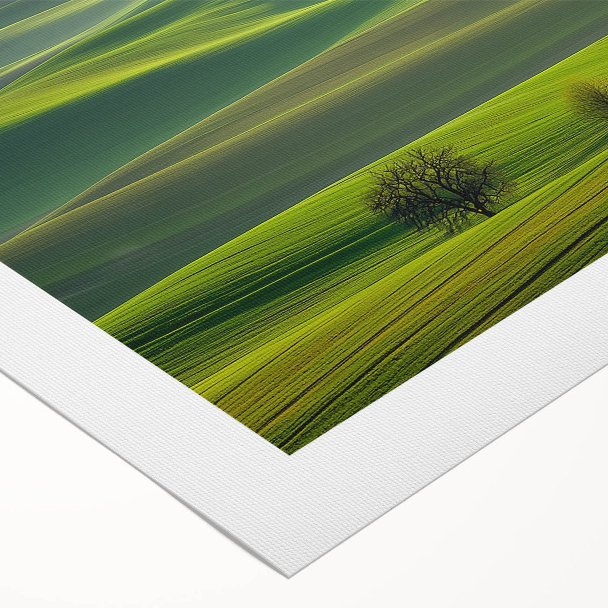 Vibrant rolled canvas artwork depicting a serene countryside landscape with lush green fields and a blue sky, elegantly packaged in a protective cardboard tube.