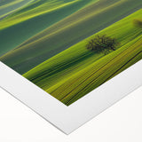 Vibrant rolled canvas artwork depicting a serene countryside landscape with lush green fields and a blue sky, elegantly packaged in a protective cardboard tube.